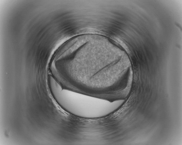 X0000097851144200804111122