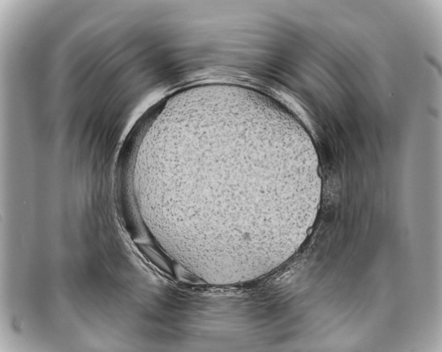 X0000097851146200804111122