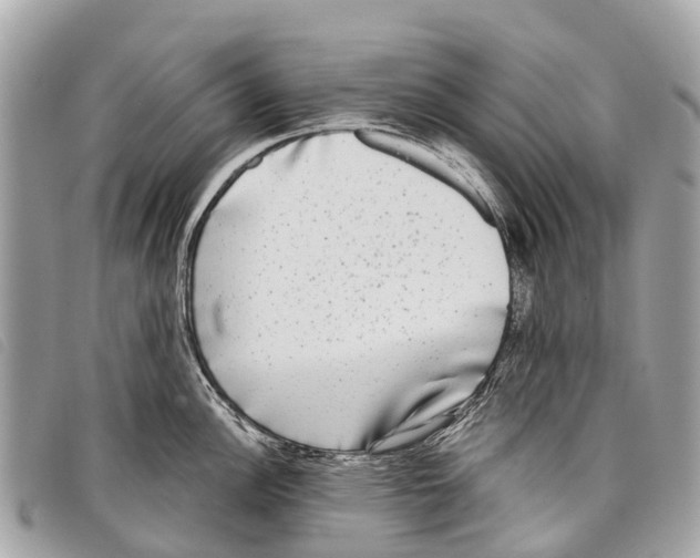 X0000097851148200804111122