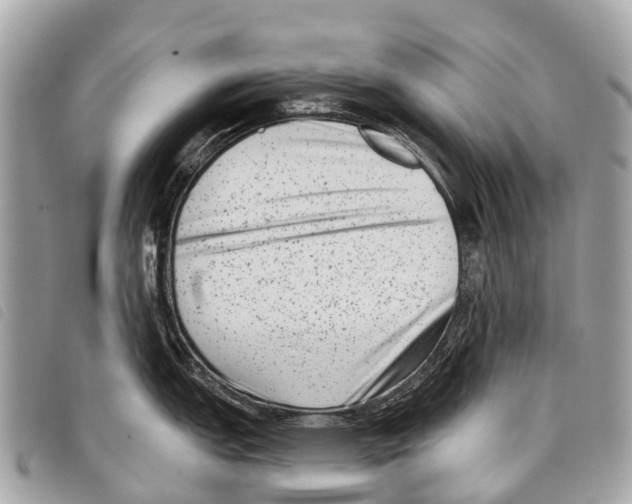 X0000097851151200804111123