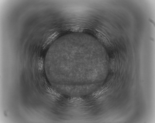 X0000097851154200804111122