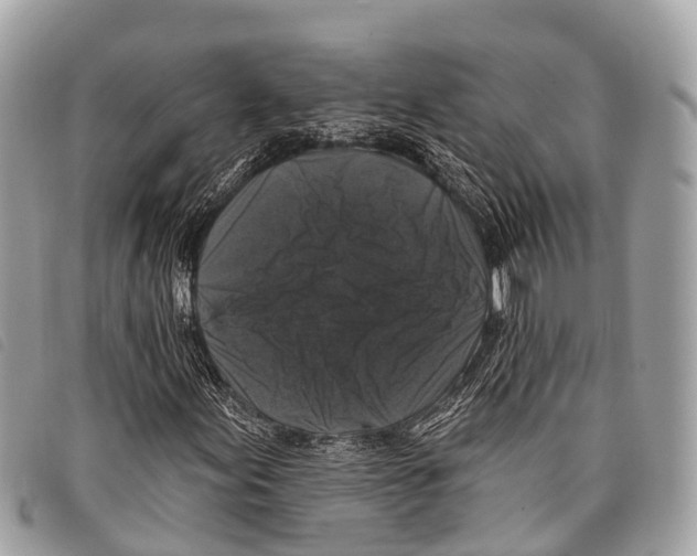 X0000097851155200804111122