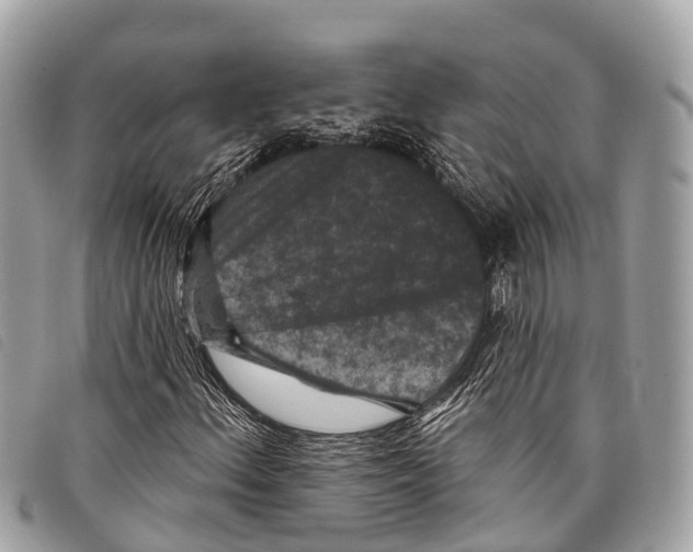 X0000097851156200804111122