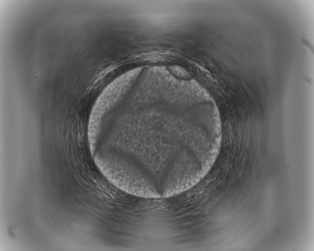 X0000097851158200804111122