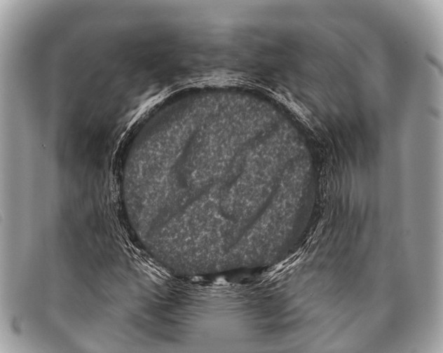 X0000097851160200804111122