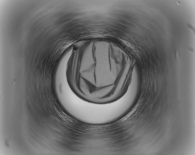 X0000097851161200804111122