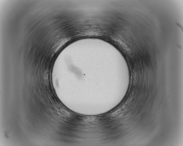 X0000097851162200804111122