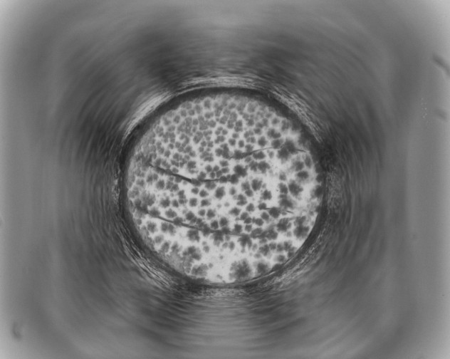 X0000097851163200804111122