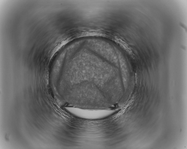 X0000097851165200804111122