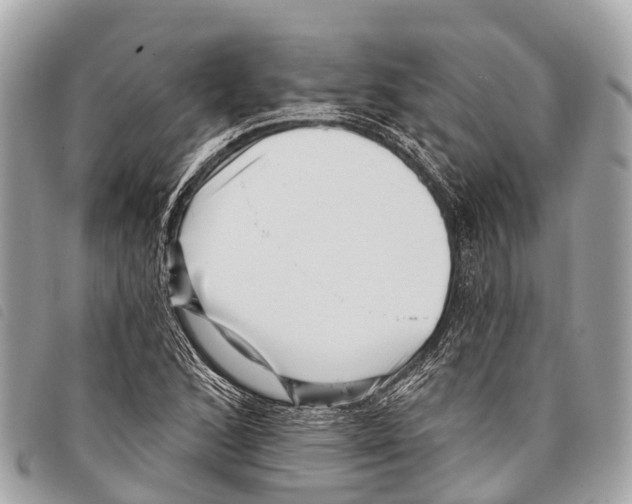 X0000097851168200804111122