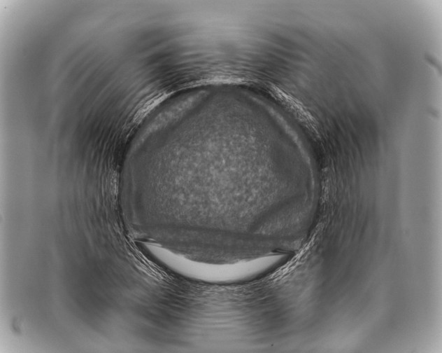 X0000097851169200804111122