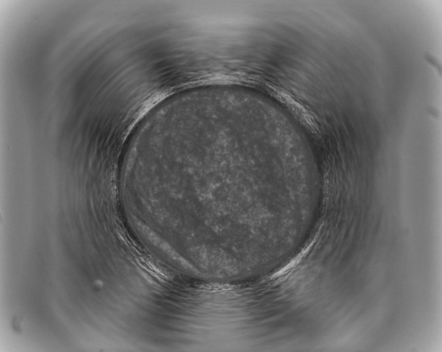 X0000097851170200804111122