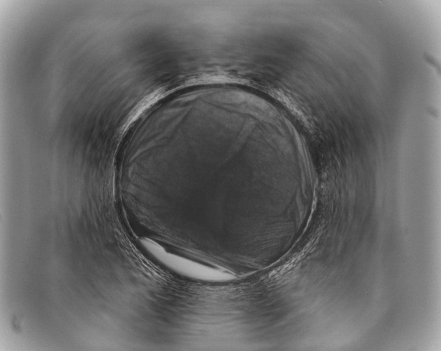 X0000097851173200804111122