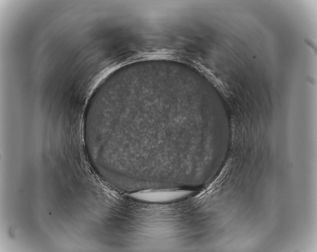 X0000097851174200804111122