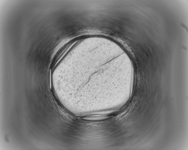 X0000097851175200804111122