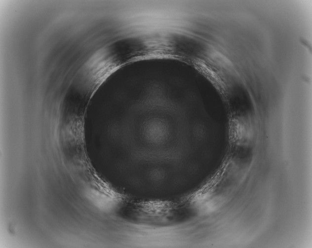 X0000097851177200804111122