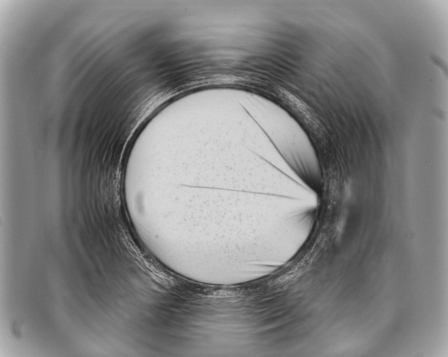 X0000097851178200804111122