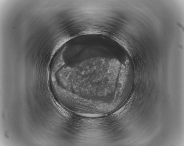 X0000097851179200804111122