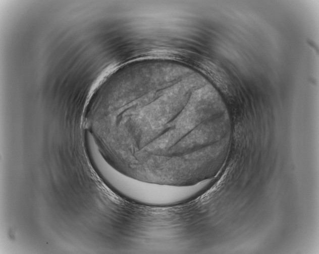 X0000097851180200804111121