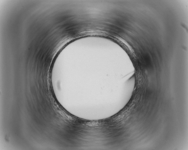 X0000097851182200804111121