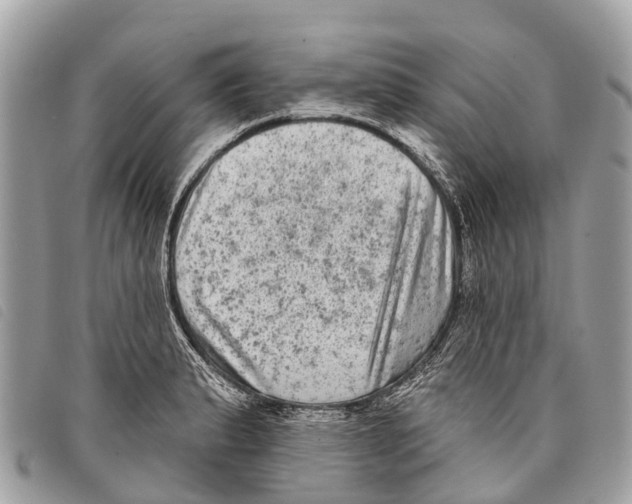 X0000097851183200804111121