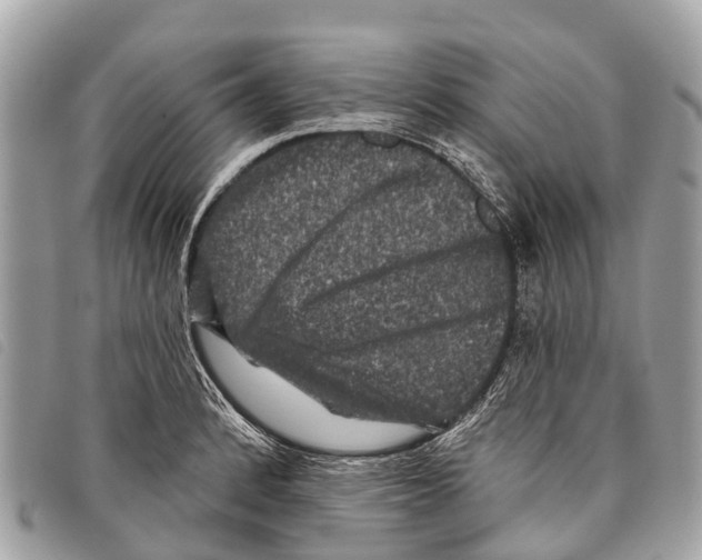 X0000097851184200804111121