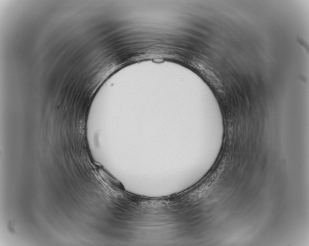 X0000097851185200804111121