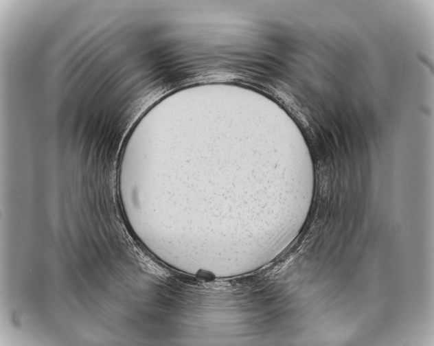 X0000097851186200804111121