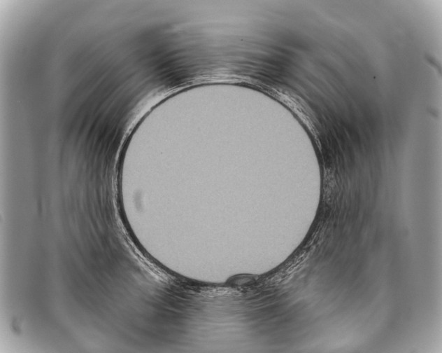 X0000097851187200804111121