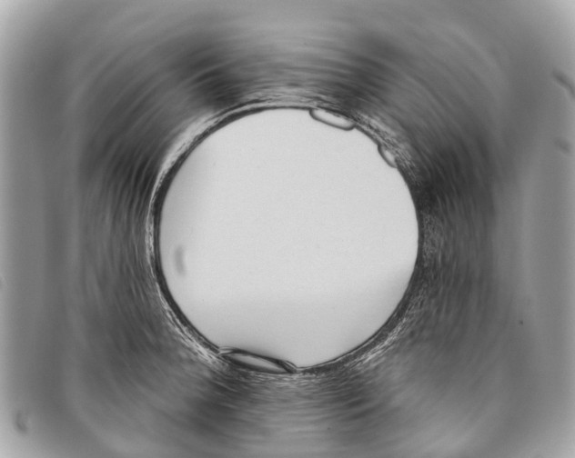 X0000097851188200804111121