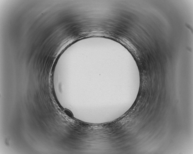 X0000097851190200804111121