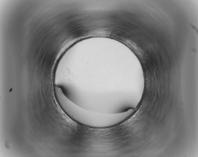 X0000097851192200804111121