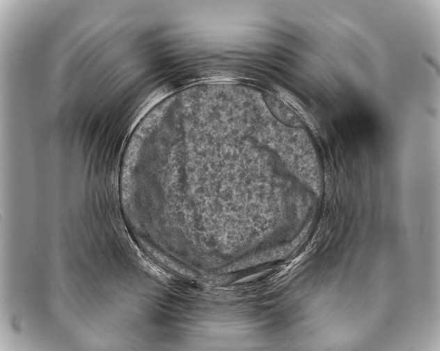 X0000097851194200804111121