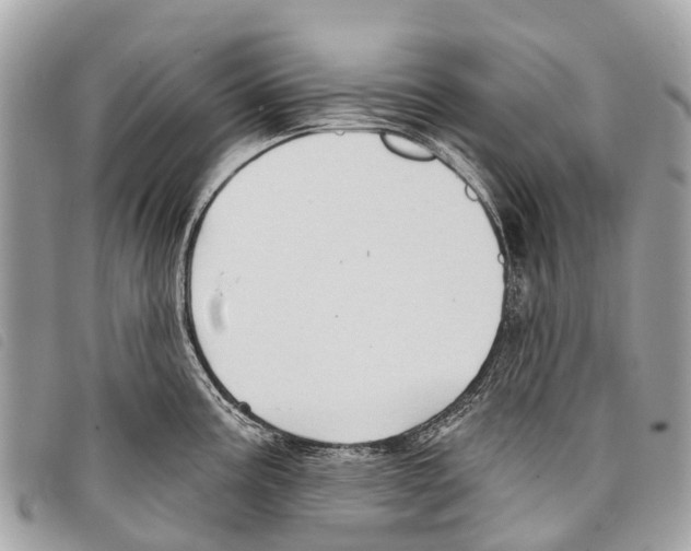 X0000097851195200804111121