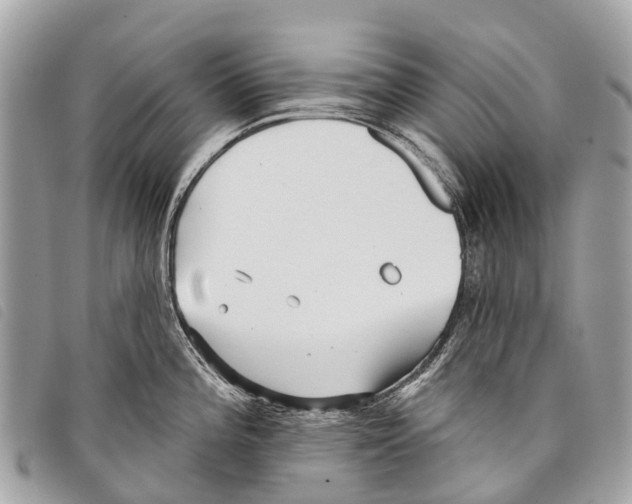 X0000097851196200804111121