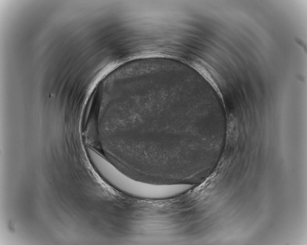 X0000097851197200804111121