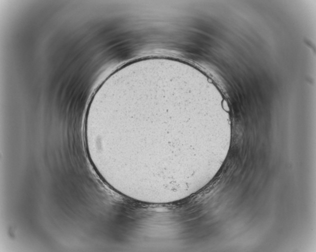 X0000097851199200804111121