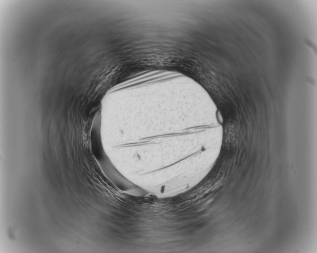 X0000097851202200804111120