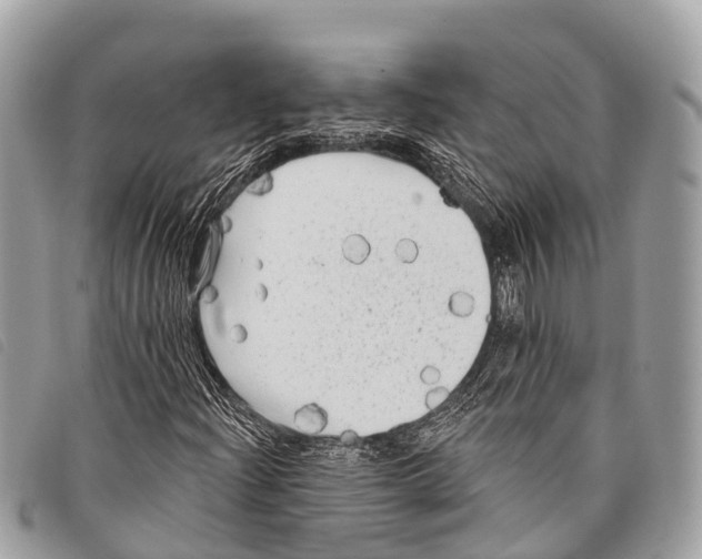 X0000097851204200804111120