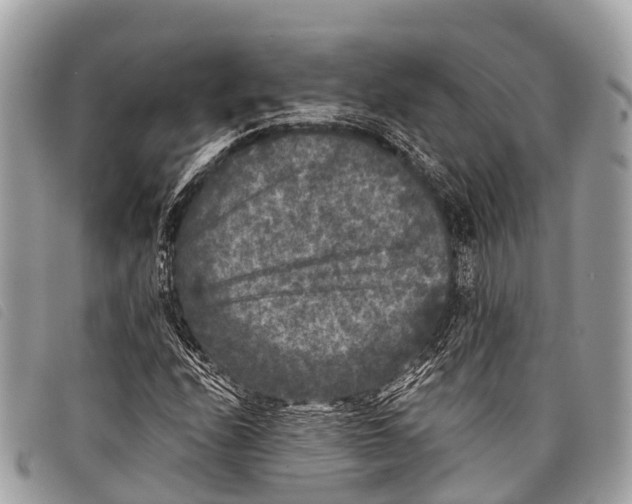 X0000097851208200804111120