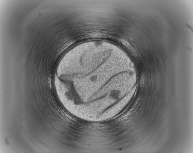 X0000097851209200804111120