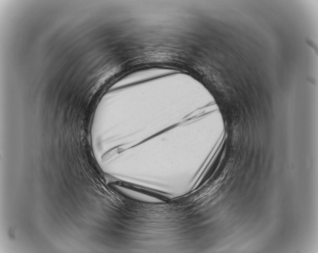 X0000097851210200804111120