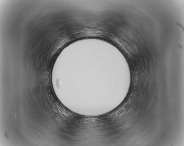 X0000097851211200804111121