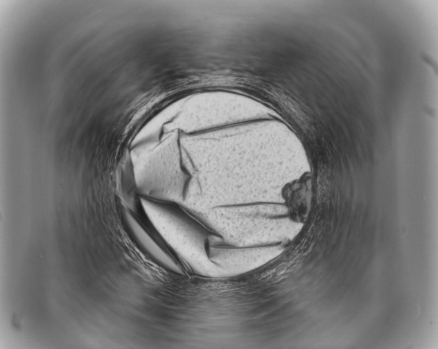 X0000097851212200804111121