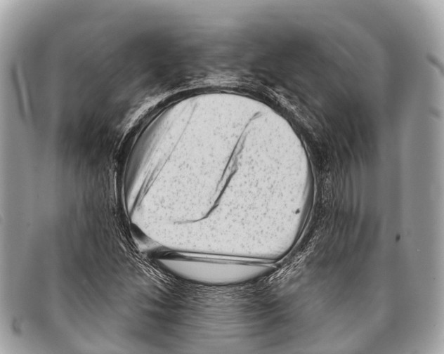 X0000097851214200804111121