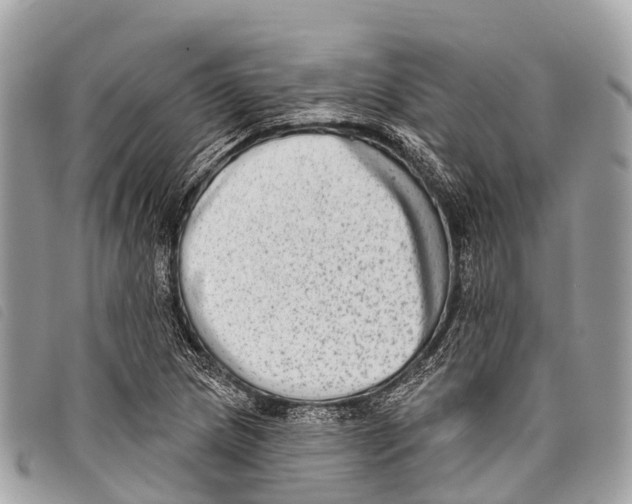 X0000097851217200804111121