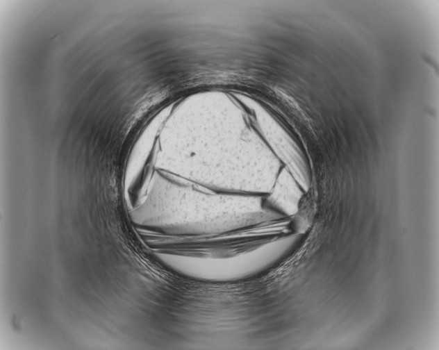 X0000097851218200804111121