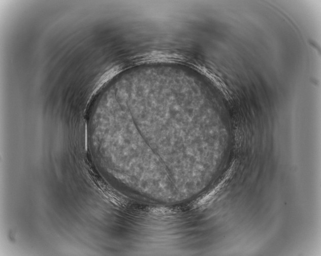 X0000097851219200804111121