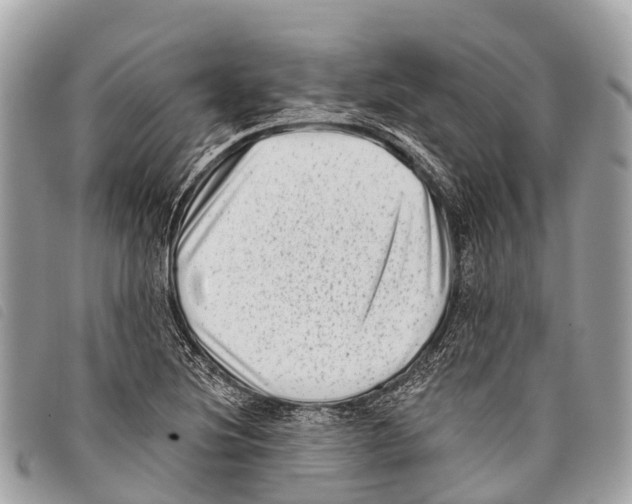 X0000097851220200804111121