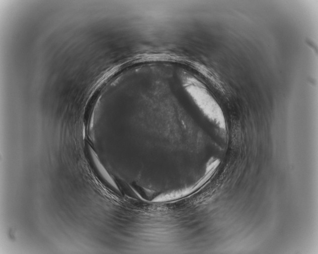 X0000097851221200804111121